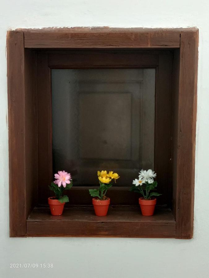 Florhouse Pacini Appartement Catane
