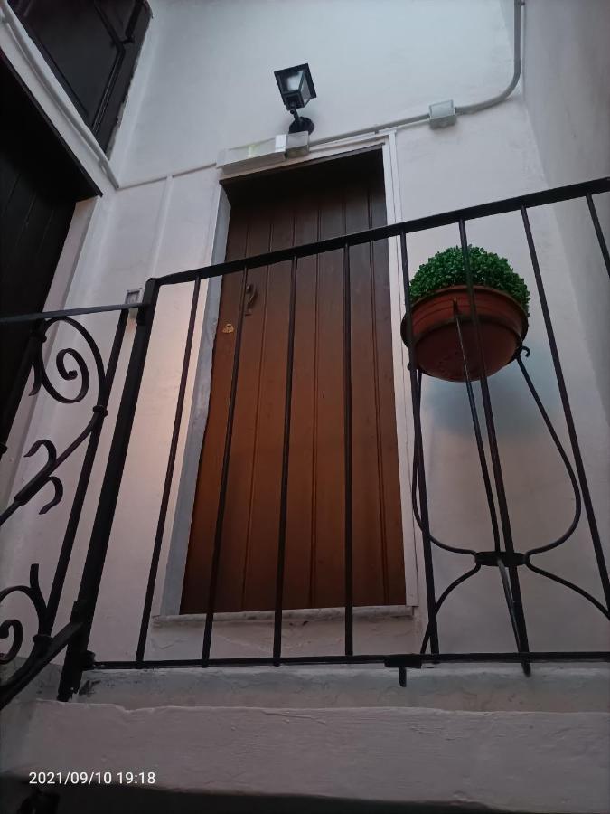 Florhouse Pacini *